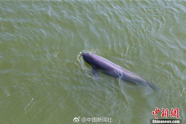 异世界搞笑冒险番为何吸引人？独特设定与反差角色是关键