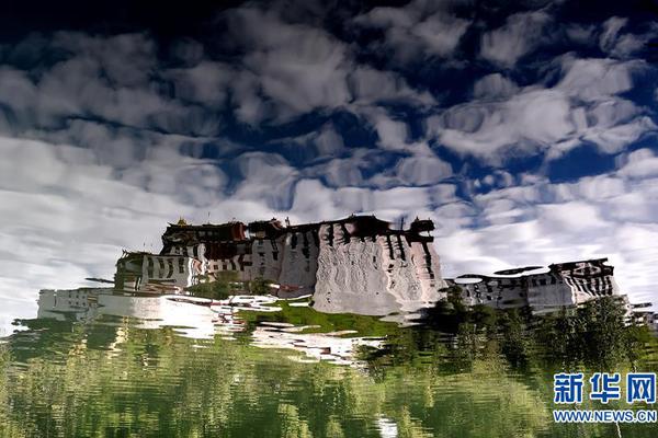 《海贼王第890集》在线观看