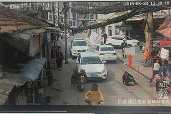 完美世界动漫特别篇免费观看