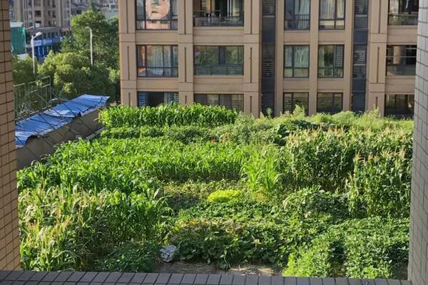 影视作品中万人迷反派为何更吸睛?如何塑造有魅力反派?