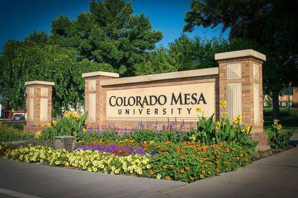 私密教学无书币免费阅读