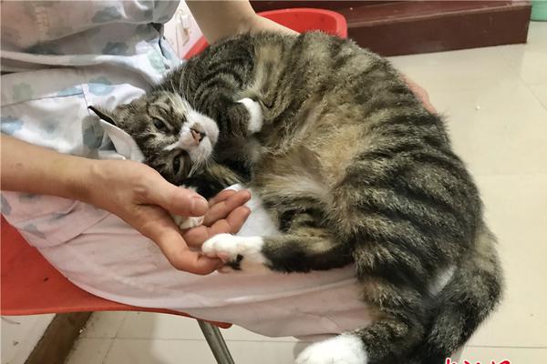 影视作品中万人迷反派为何更吸睛？如何塑造有魅力反派？