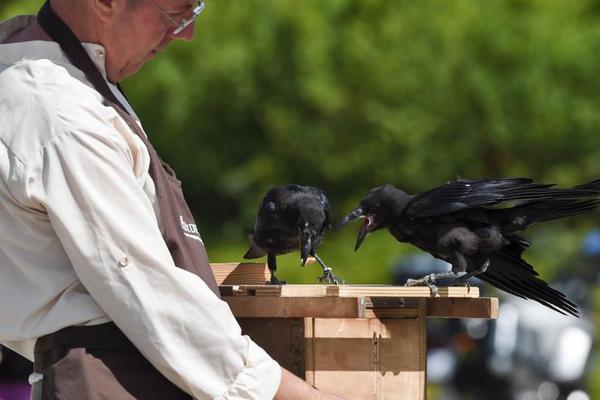 异世界搞笑冒险番为何吸引人？独特设定与反差角色是关键