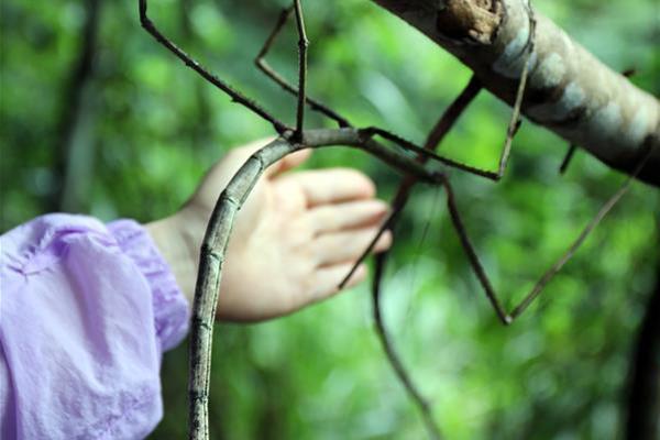 黑暗王朝漫威顺序