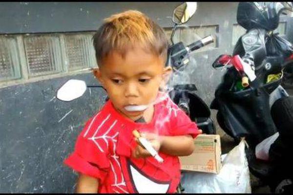 终结的炽天使第二季完整版