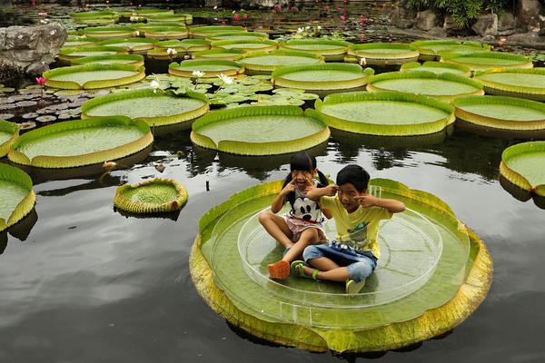 异世界搞笑冒险番为何吸引人？独特设定与反差角色是关键