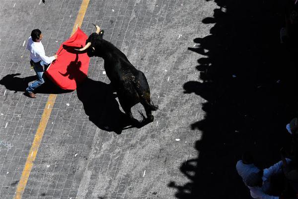 《海贼王第890集》在线观看