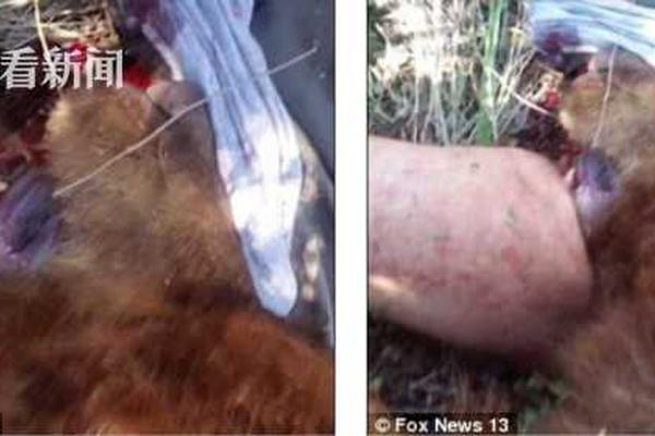 影视作品中万人迷反派为何更吸睛?如何塑造有魅力反派?