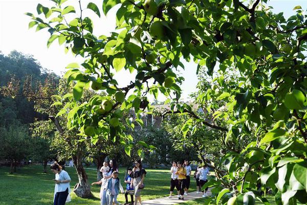 斗破苍穹老粉必看！正版免费观看渠道及支持正版的意义