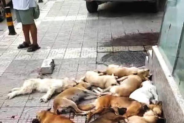 王牌御史古风漫画网最新