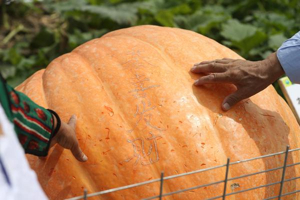 狐妖小红娘红标影院