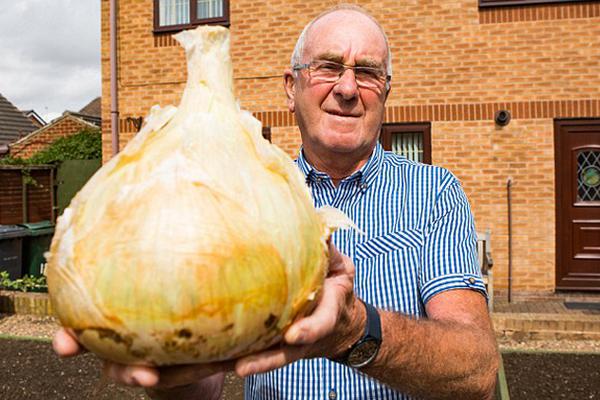 同人：约会大作战datealive ex章节（3） ast存亡战 第一节