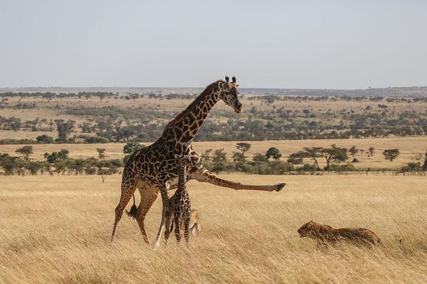 datealive 地铁逃生回归！biubiu免费加速，畅玩海量海内外精品手游