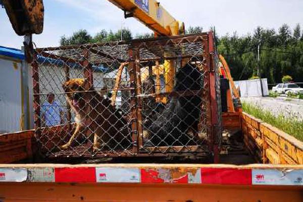 国漫世界免费观看