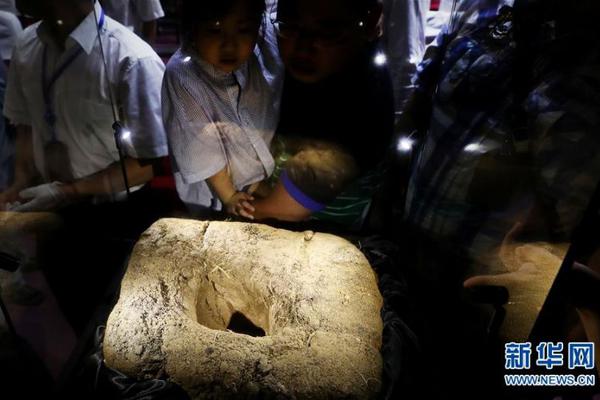 哔哩哔哩隐藏内容怎么找？特殊标签与搜索技巧是关键