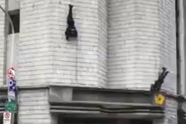 最强枭雄系统扑飞漫画免费