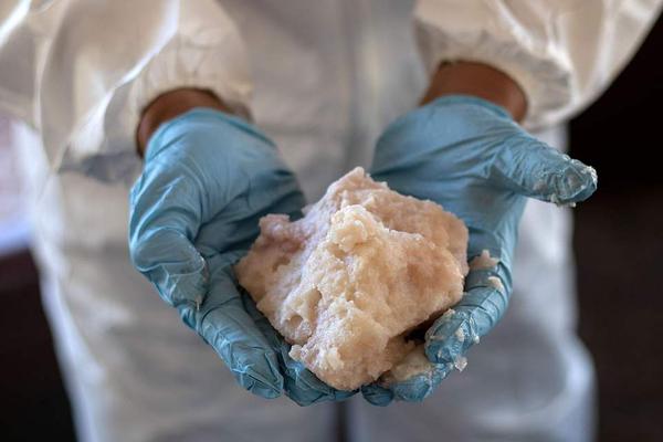 阅站漫画app最新版：免费搜索全网漫画，畅享多种便捷阅读体验