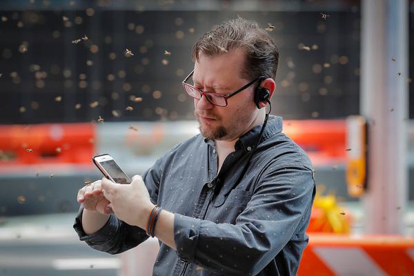 异世界搞笑冒险番为何吸引人？独特设定与反差角色是关键