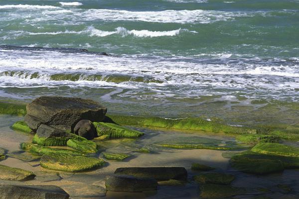 《海贼王第890集》在线观看