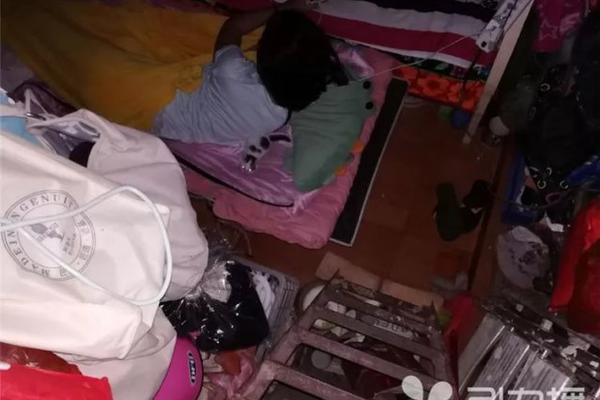 《海贼王第890集》在线观看