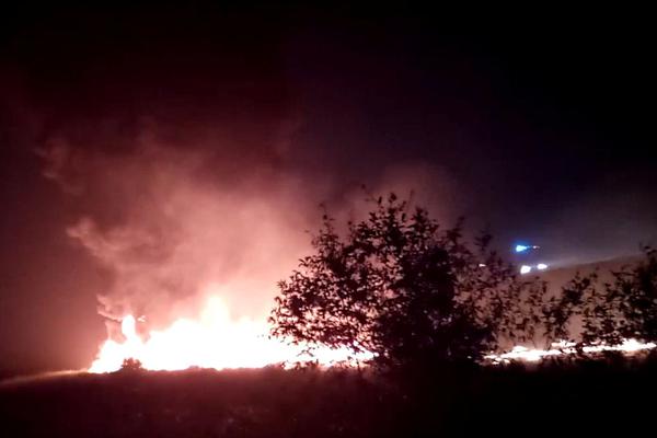 六宫凤华免费漫画全集