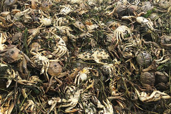 笔趣阁手机版:优质小说阅读软件,类型全且可自由查找