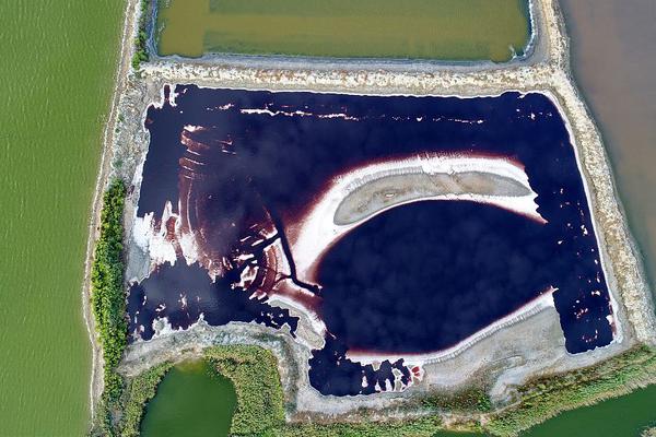 《海贼王第890集》在线观看