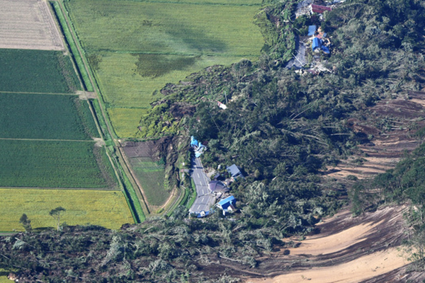 《海贼王第890集》在线观看