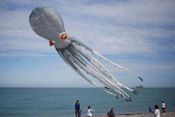 免费漫画阅站app下载安装无广告，畅享丰富漫画资源