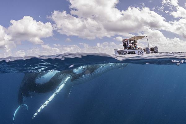 缘之空借兄妹情纠葛引发思索，为何对兄妹恋情描绘引争议？