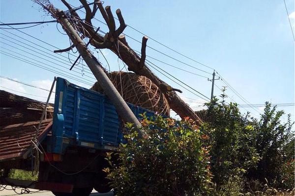 魔界剑神之异界纵横漫画