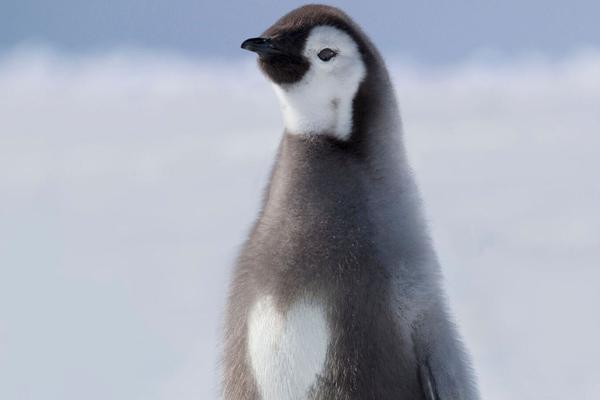 阅站漫画:资源丰富更新快,免费福利多,阅读体验超棒