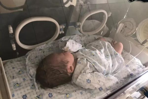 《蓝翅》漫画免费阅读