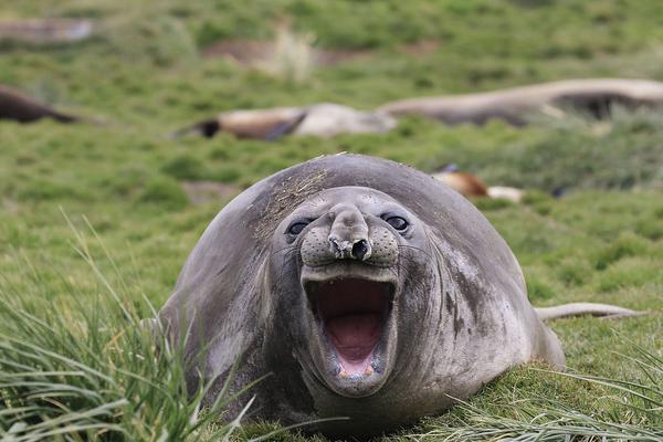 笔趣阁手机版：优质小说阅读软件，类型全且可自由查找