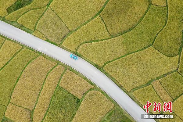 免费漫画阅站app下载安装无广告，畅享丰富漫画资源