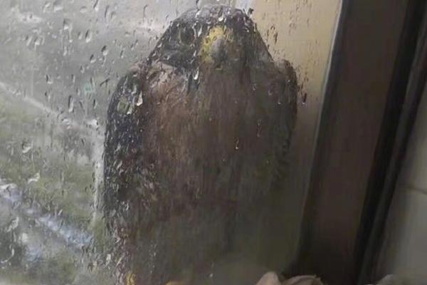 影视作品中万人迷反派为何更吸睛？如何塑造有魅力反派？