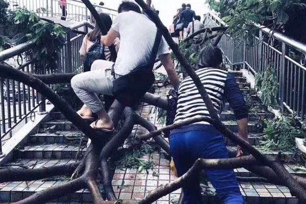 阅站漫画app最新版：免费搜索全网漫画，畅享多种便捷阅读体验