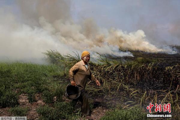 缘之空借兄妹情纠葛引发思索，为何对兄妹恋情描绘引争议？