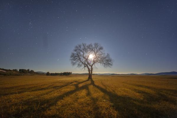 免费漫画阅站app下载安装无广告，畅享丰富漫画资源