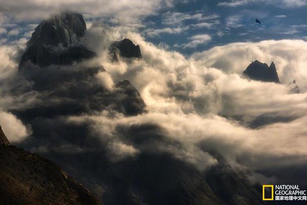 免费在线可阅读漫画成首选，却面临凯发k8国际首页登录的版权等难题待剖析？