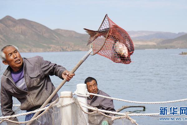 网络文学爱好者必读！新笔趣阁现状及使用建议大揭秘？