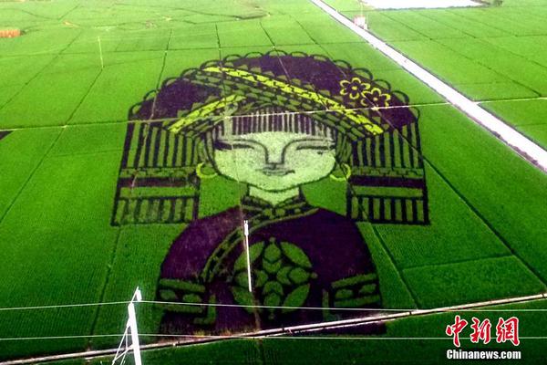 阅站漫画app最新版：免费搜索全网漫画，畅享多种便捷阅读体验