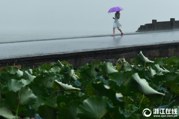 弱点漫画在线观看