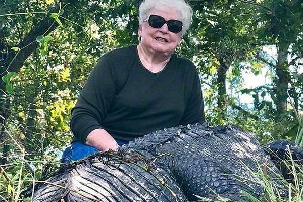 《海贼王第890集》在线观看