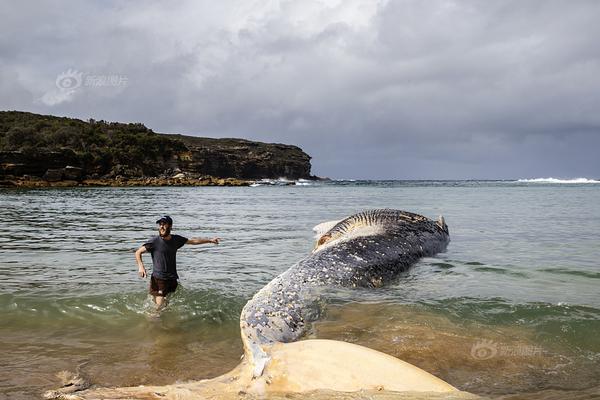 免费漫画阅站官方正版：无广告弹窗，全网漫画免费看