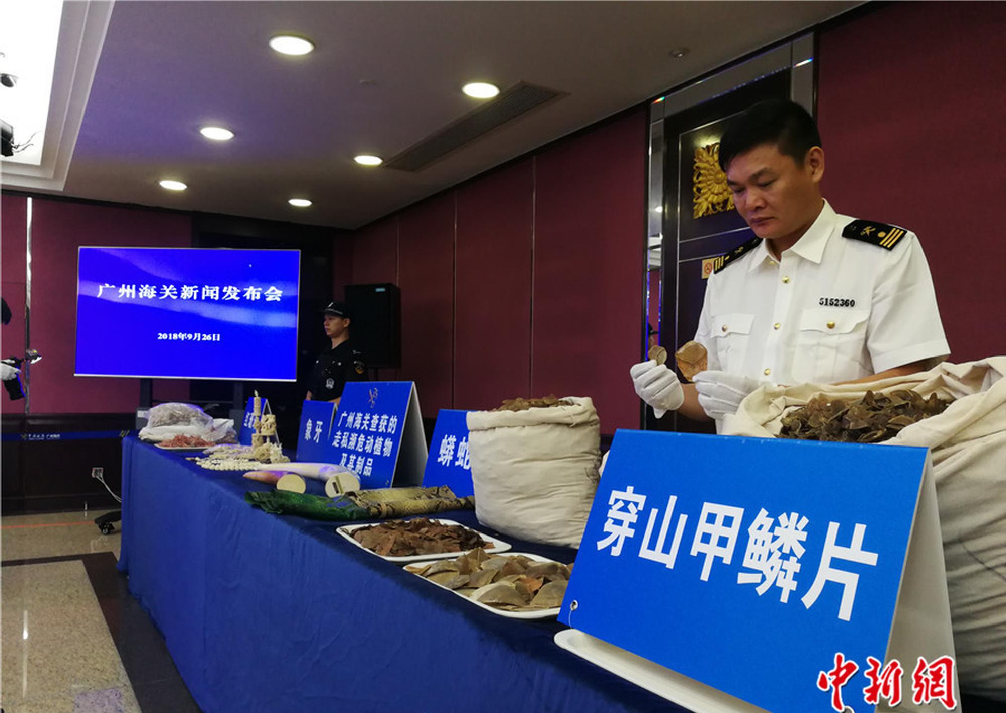 哔哩哔哩隐藏内容怎么找?特殊标签与搜索技巧是关键