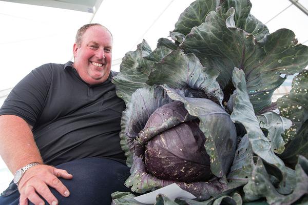 斗破苍穹老粉必看！正版免费观看渠道及支持正版的意义