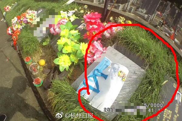 网络文学爱好者必读！新笔趣阁现状及使用建议大揭秘？