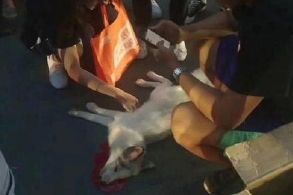 备受关注的死神230模型，设计与工艺究竟有多出色？