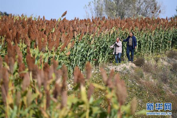 阅站漫画app最新版：免费搜索全网漫画，畅享多种便捷阅读体验